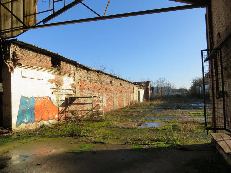 IMG_8870.JPG