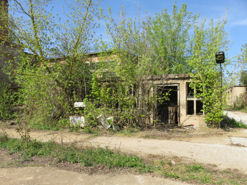 IMG_9115.JPG