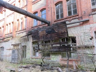 IMG_9203.JPG