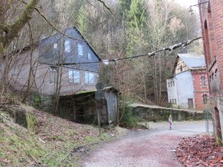 IMG_9257.JPG