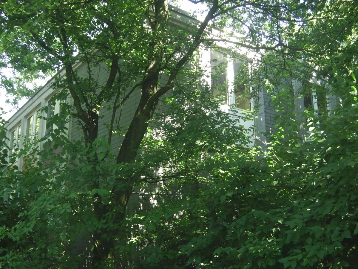 IMGA0039.JPG