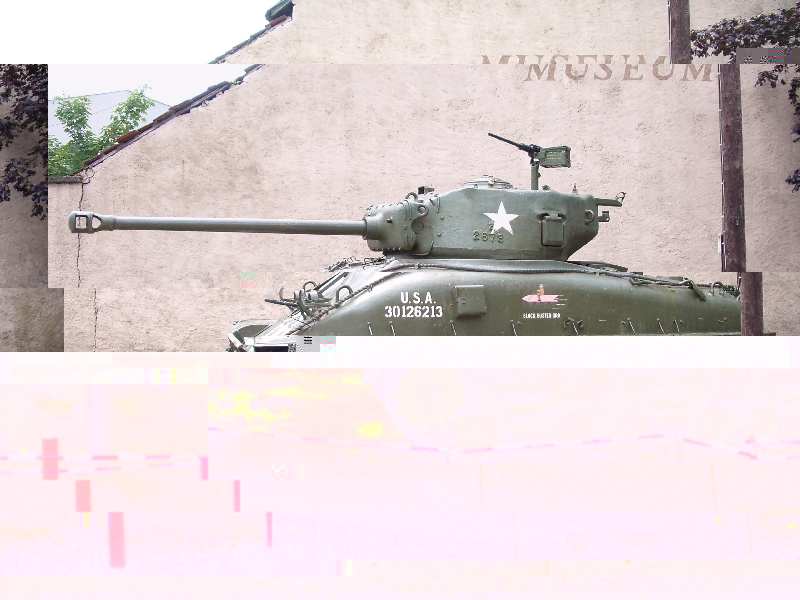 IMGP0921.jpg