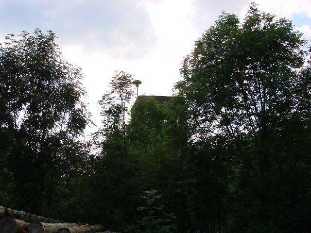 k-DSC01212.JPG