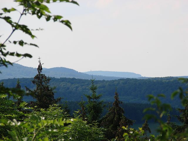 k-DSC01242.JPG