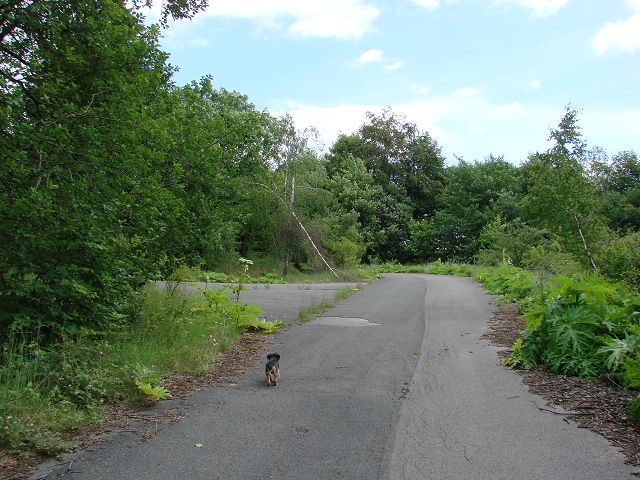 k-DSC01257.JPG