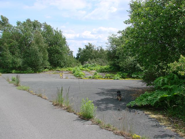 k-DSC01266.JPG