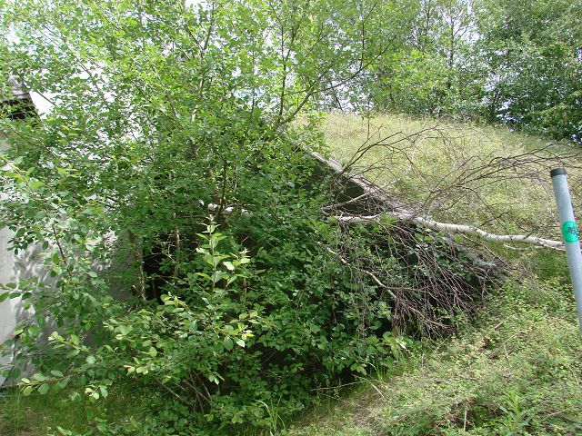 k-DSC01271.JPG
