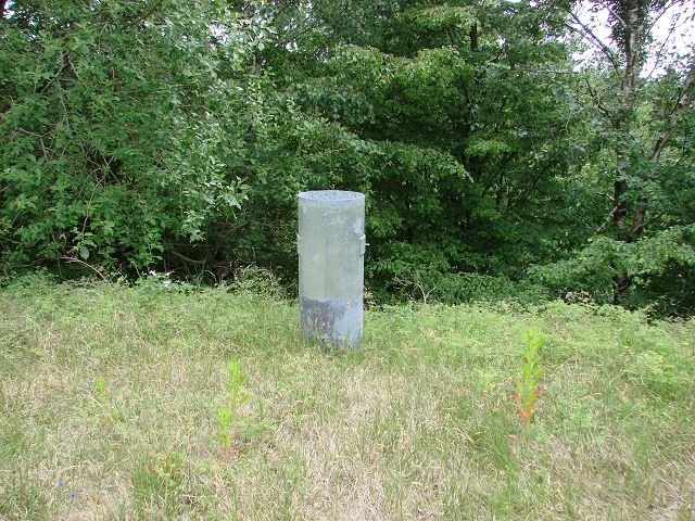 k-DSC01274.JPG