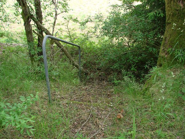 k-DSC01279.JPG