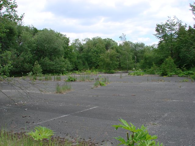 k-DSC01283.JPG