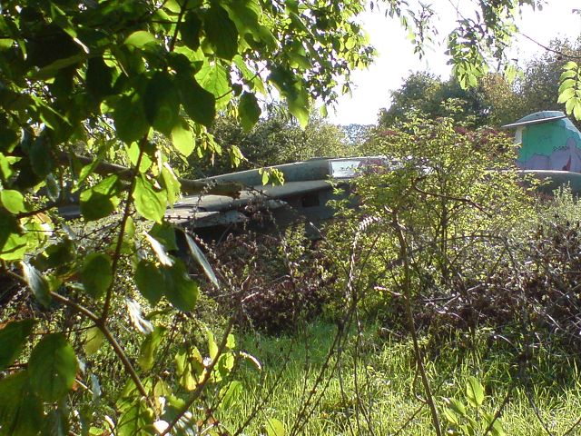 k-DSC01424.JPG