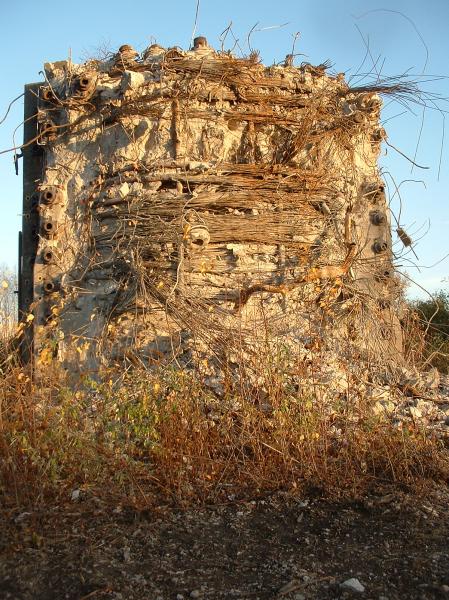 Klotzi 2 (9).JPG