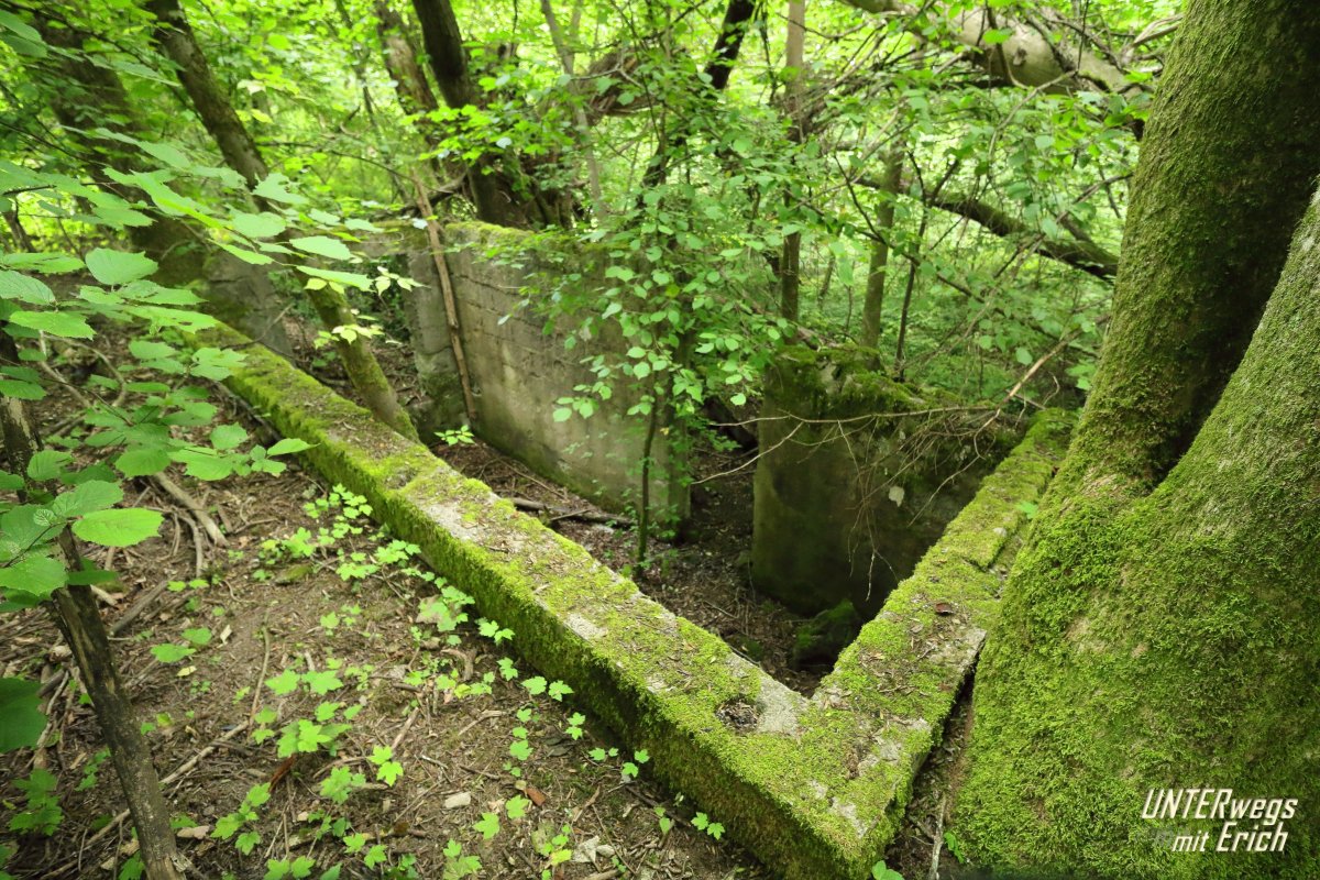 Kölschbach_F03-202507.JPG