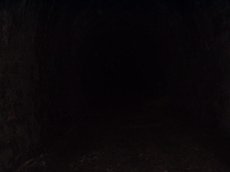 Lf-Rt-Tunnel (9).JPG