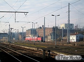 Malz_20090206_0350.jpg