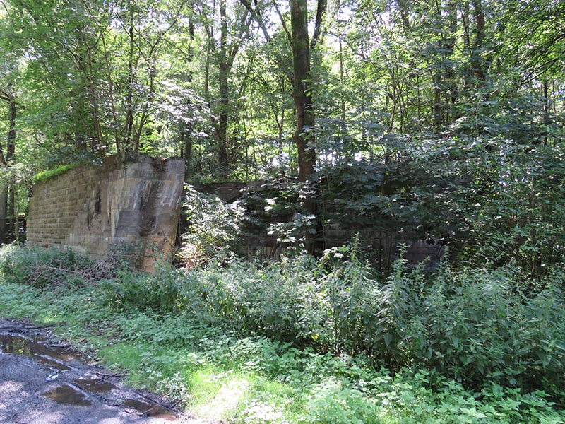 Mauerreste im Wald 1.jpg