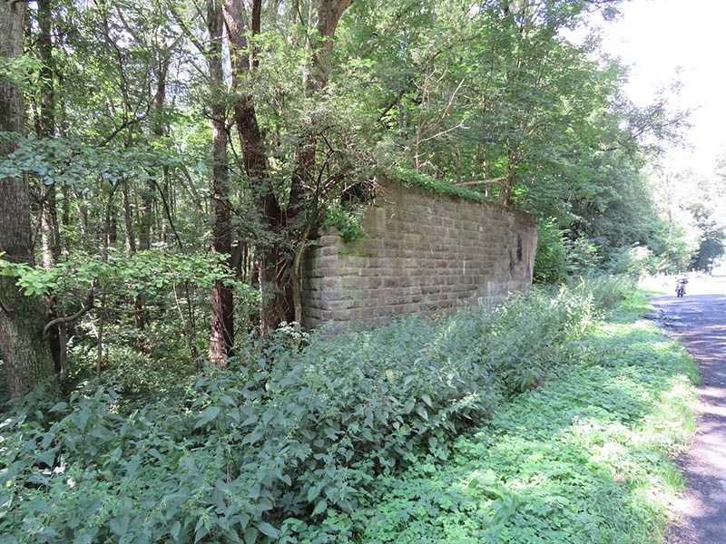 Mauerreste im Wald 3.jpg