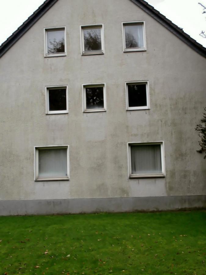 Monte F18.jpg