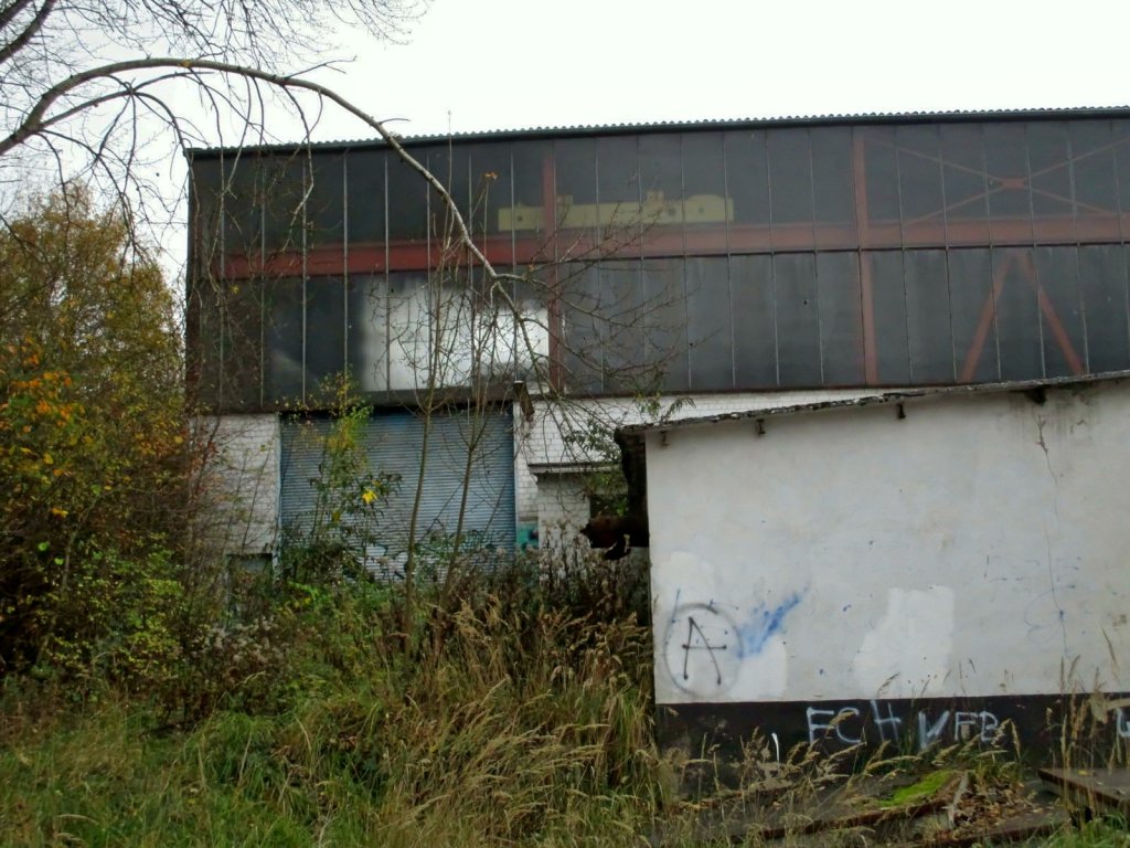 Monte F56.jpg