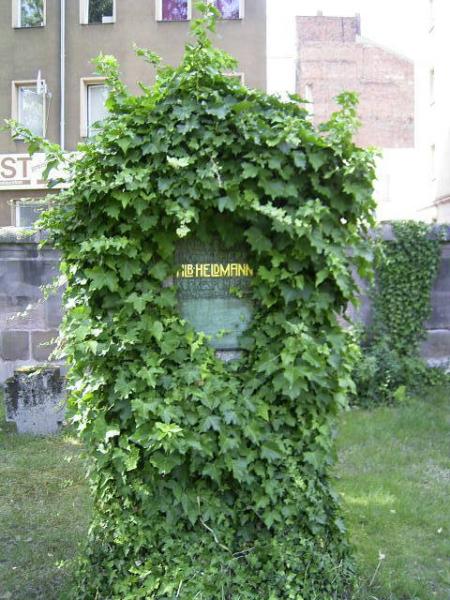 Nürnberg Militärfriedhof Grabstein Efeu.jpg