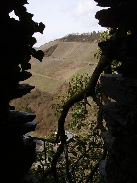 Oberwesel 2010 020.JPG