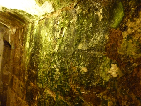 P1000436.JPG