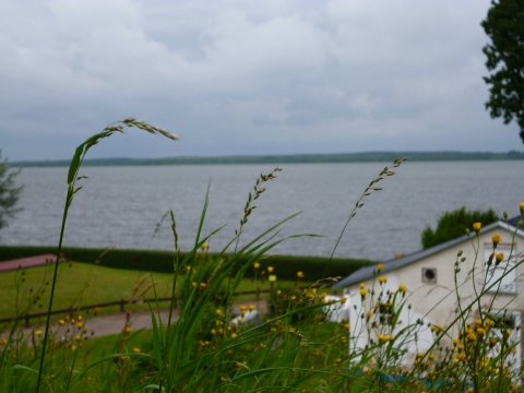 P1000443.JPG