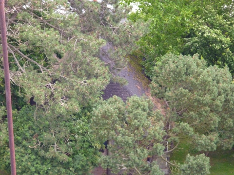 P1000453.JPG