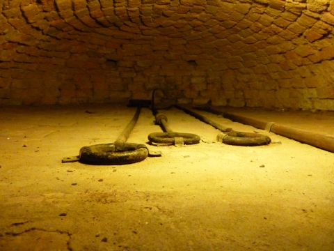 P1000487.JPG