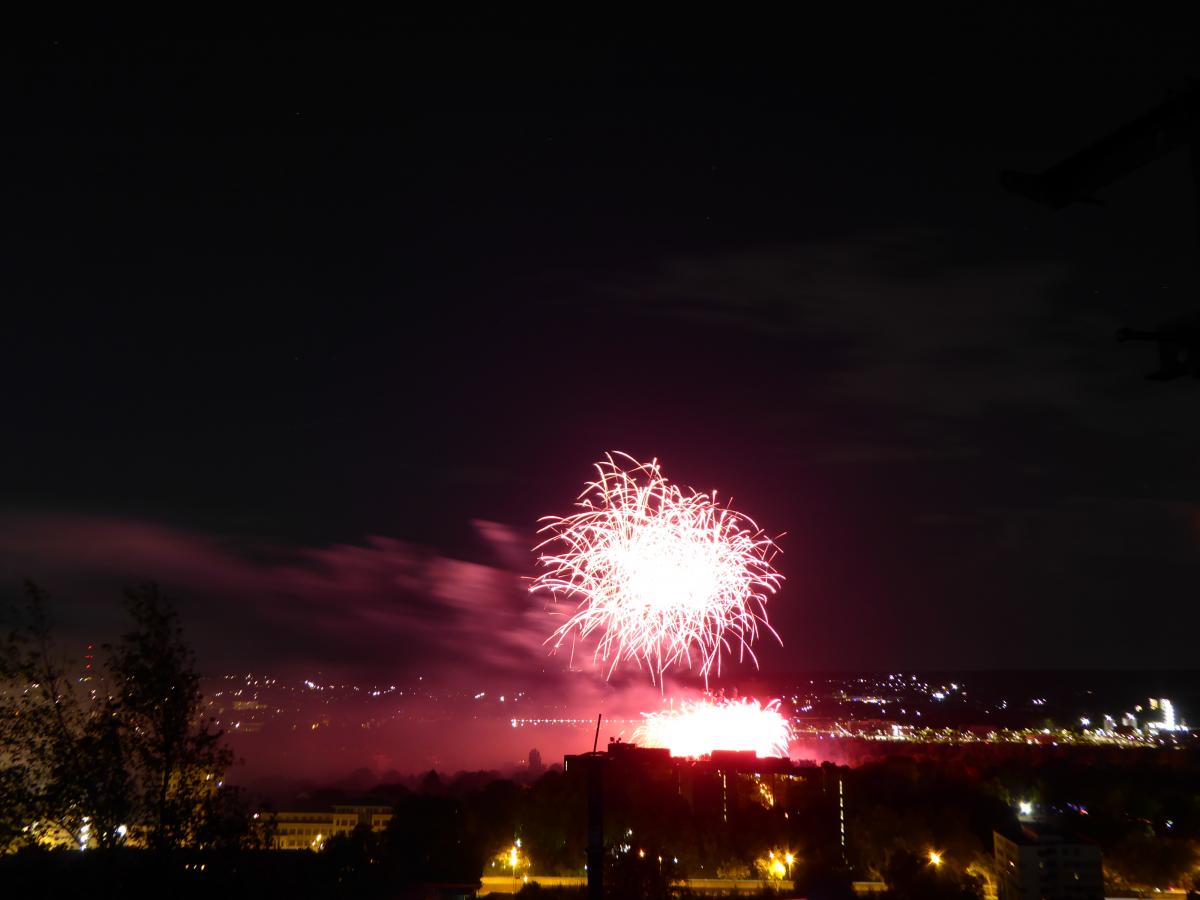 P1030272.JPG