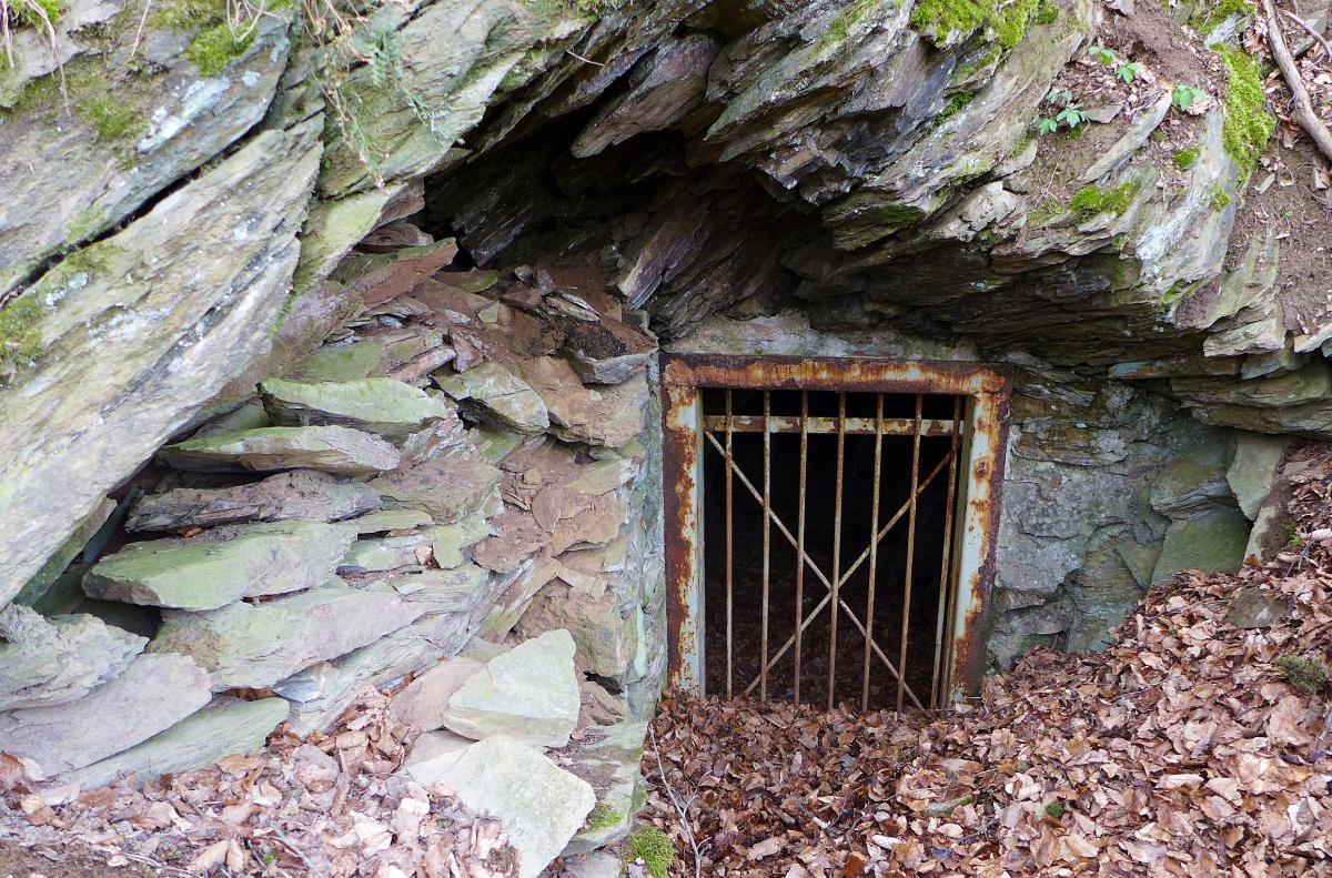 P1030417.JPG