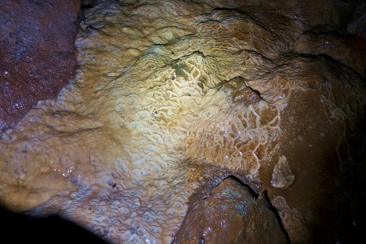 P1030436.JPG