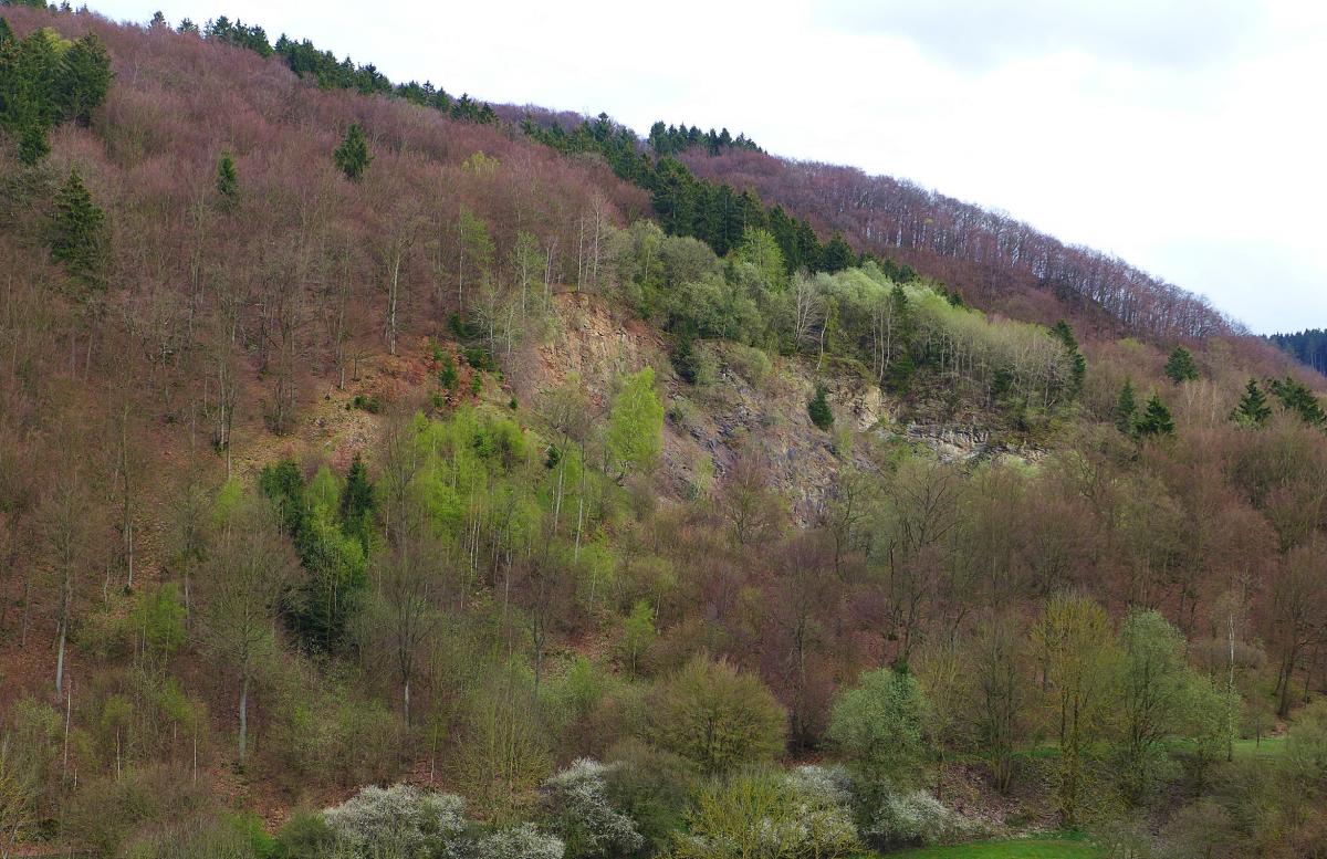 P1030439.JPG