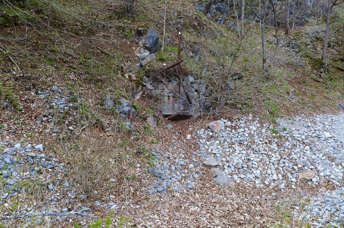 P1030443.JPG