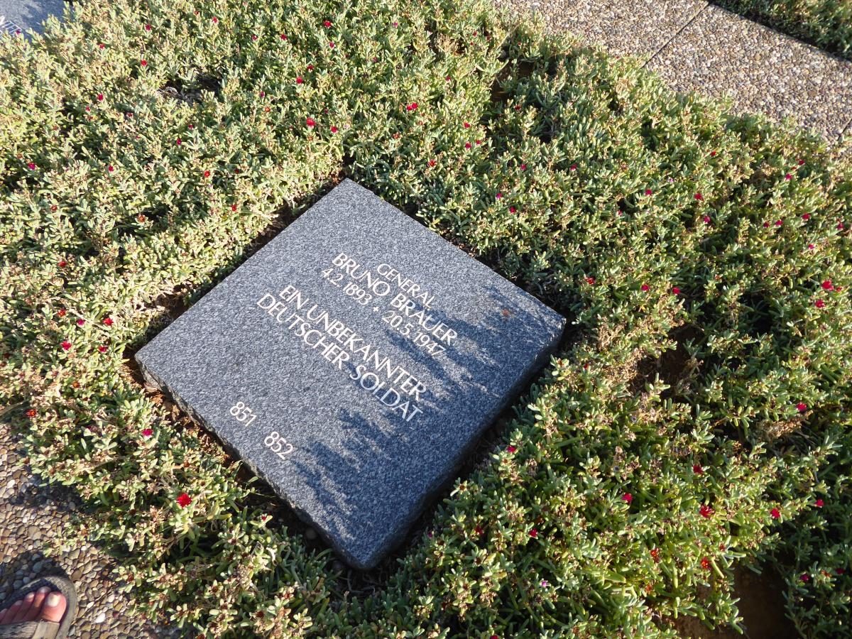 P1040954.JPG