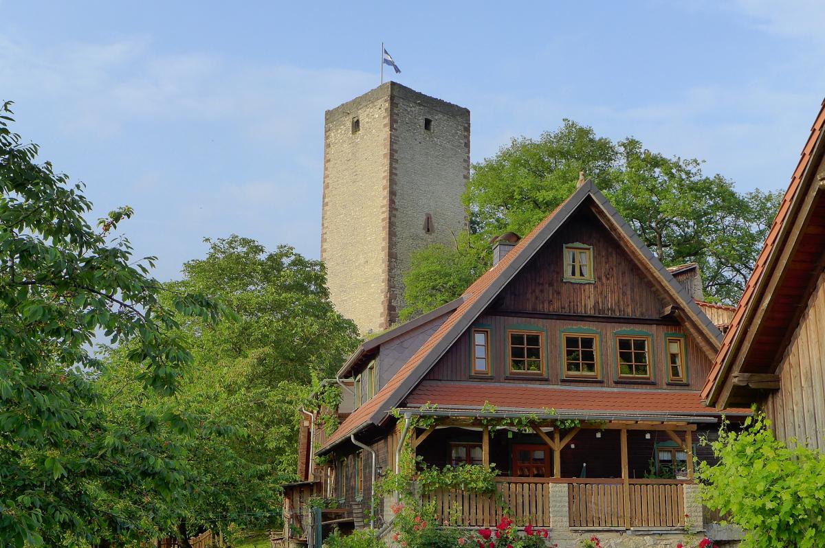 P1050847.JPG