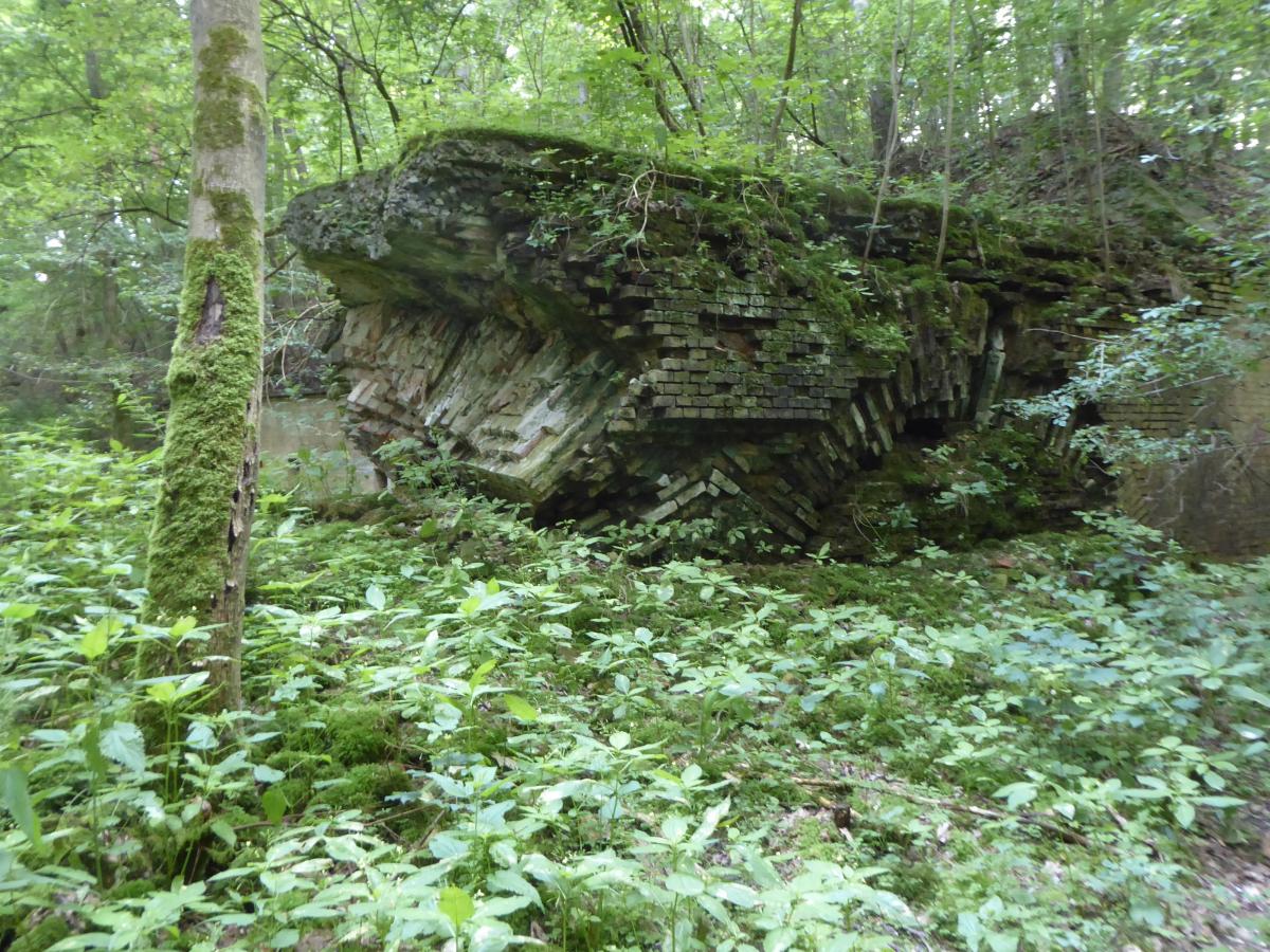 P1070515.JPG