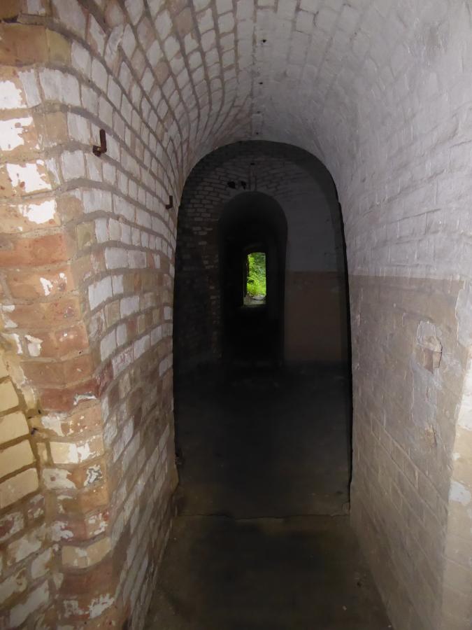 P1070533.JPG