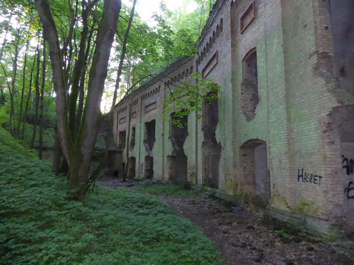 P1070543.JPG