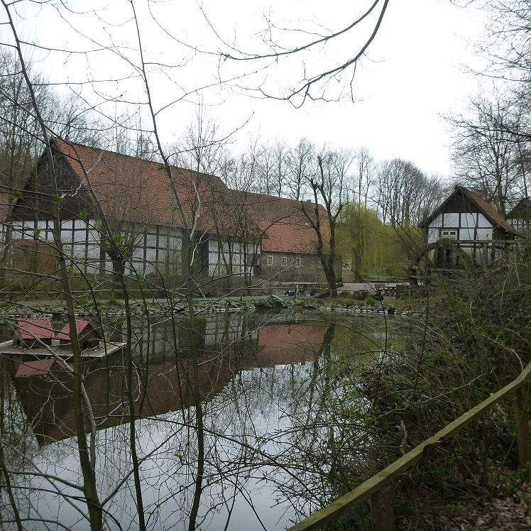 P1120616.JPG
