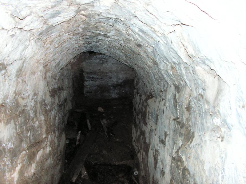 PICT0007.JPG