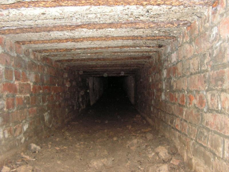 PICT0060.JPG