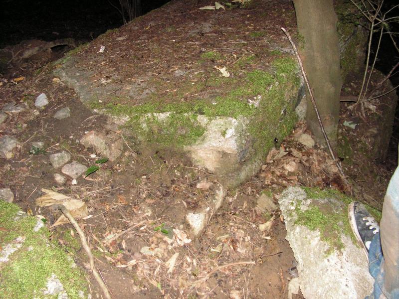 PICT0063.JPG