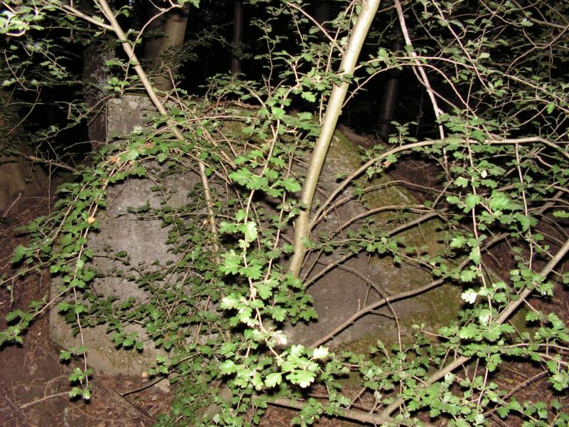 PICT0064.JPG
