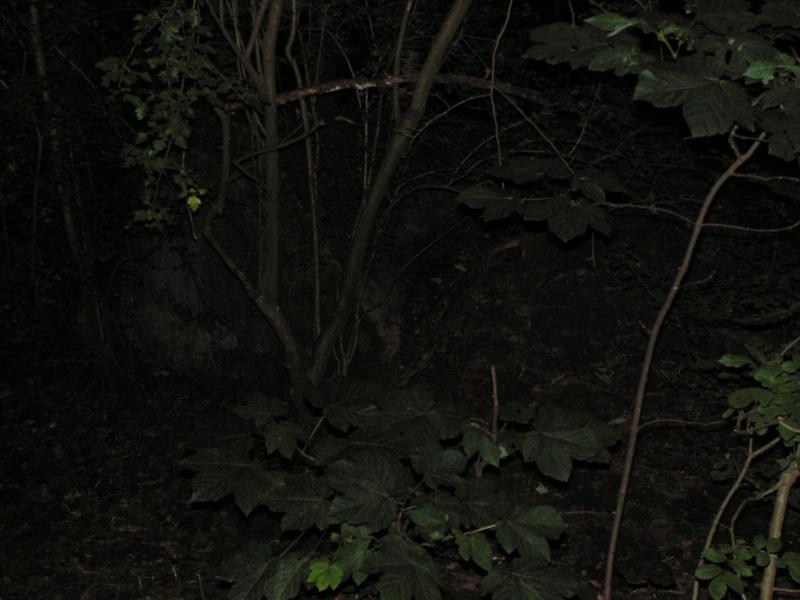 PICT0068.JPG