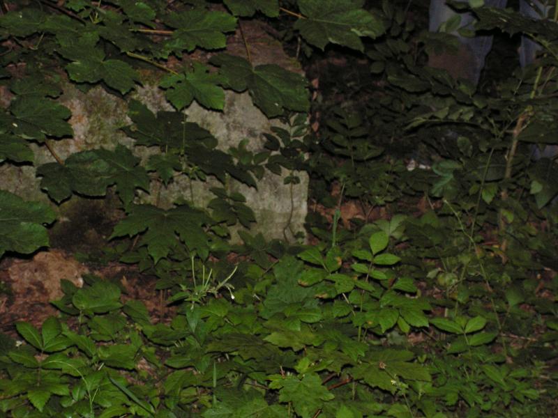 PICT0069.JPG
