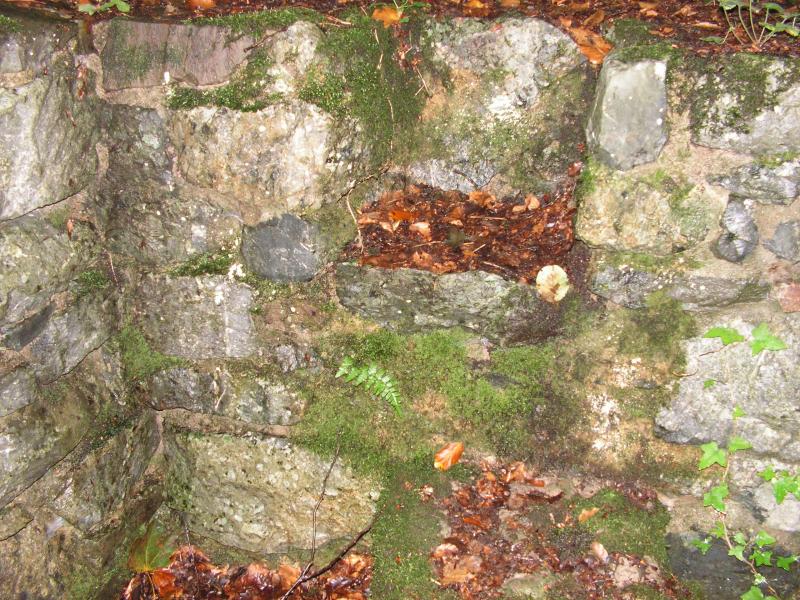 PICT0144.JPG