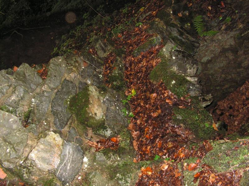 PICT0146.JPG
