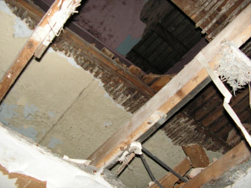 PICT0215.JPG