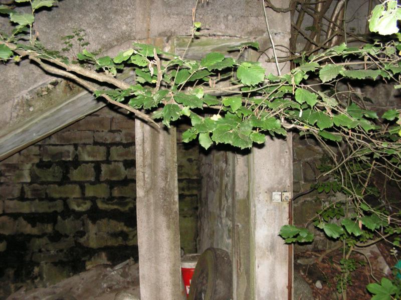 PICT0232.JPG